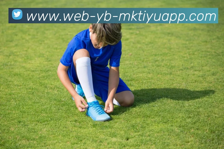 MK体育APP 封面图